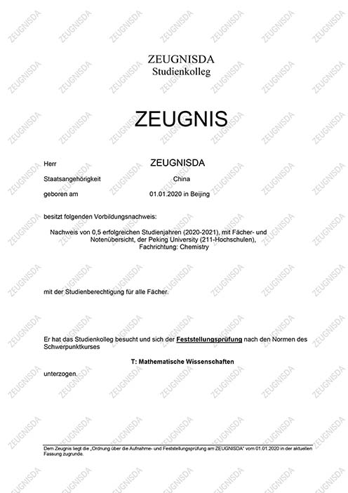 FSP证书/德国预科结业证书